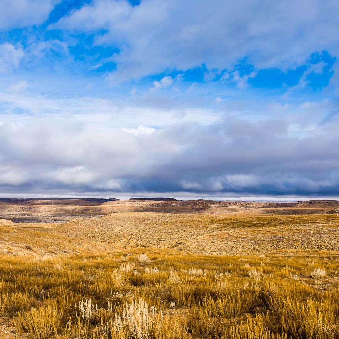 Making the Most of Your New Mexico Land Investment AGT Properties