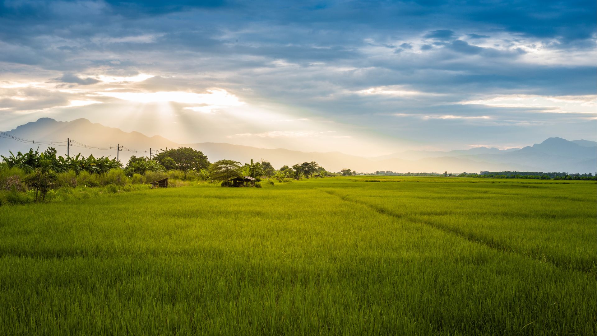 What to Consider Before Buying Undeveloped Land AGT Properties