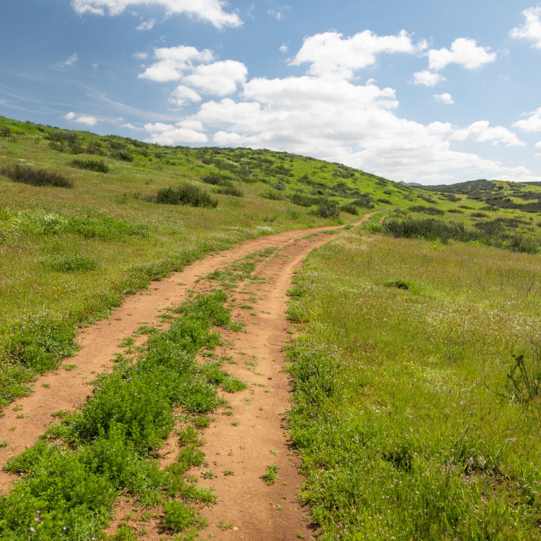 What to Consider Before Buying Undeveloped Land AGT Properties