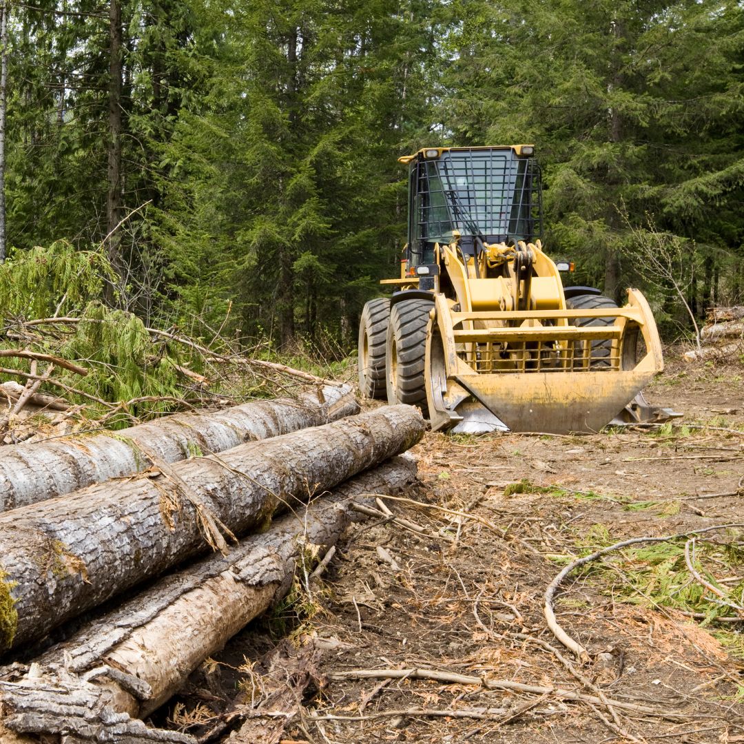 What to Consider Before Buying Undeveloped Land AGT Properties