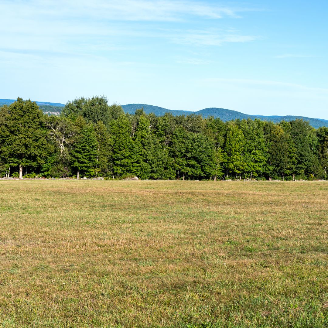 4 Things to Look For In Investment Land AGT Properties