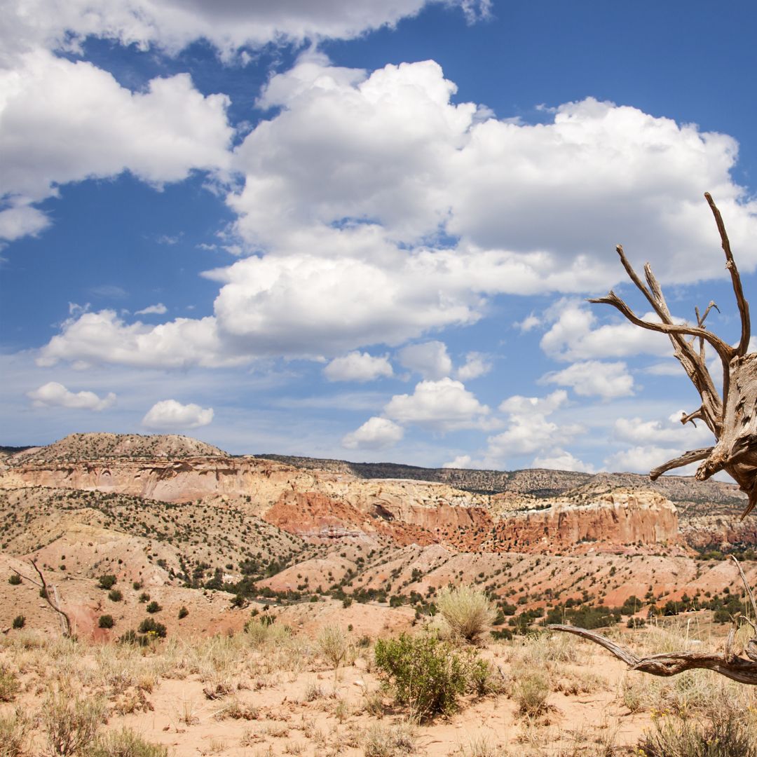 Buying Land In New Mexico What to Consider AGT Properties