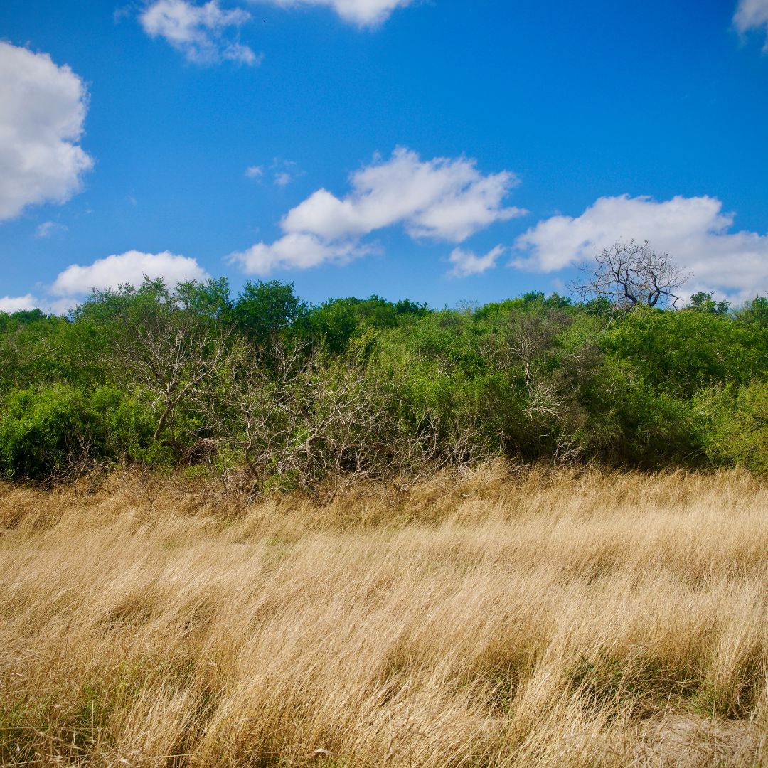 What to Look for in a Texas Land Listing AGT Properties